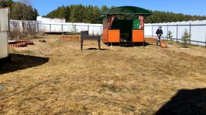 Скарификатор для газона Patriot SCE150. Нужен ли? Обзор и тес?