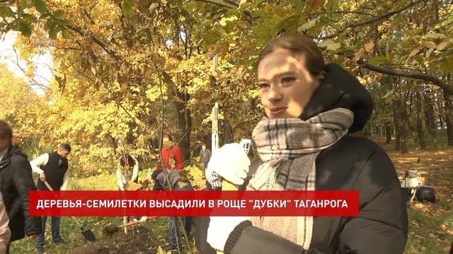 Высадка деревьев в роще «Дубки» в Таганроге