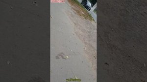 ВОЗРОЖДЕНИЕ ТЕМЫ? Домофоны #5 | Домофоны.mp4