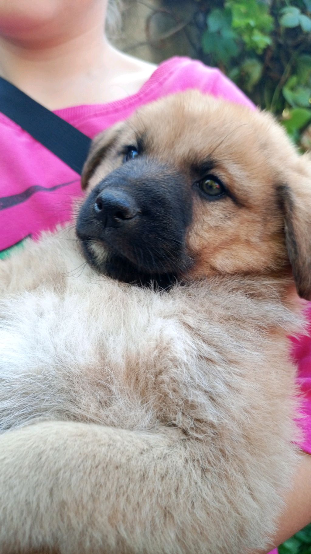 я удаляю аккаунт смотреть онлайн