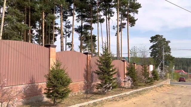 Озеленение Чита, питомник Велес смотреть онлайн