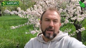 Как выглядят Новоспорин и Мультибакт, выращенные из з?