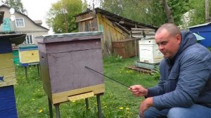 Как сделать противороевой налёт на матку или маточник