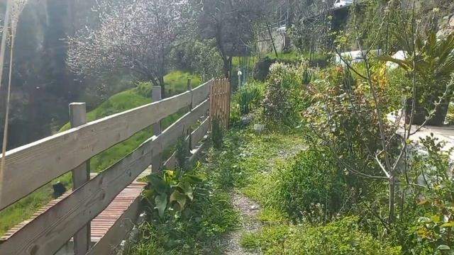 Купили старый дом.// Умная мысля приходит опосля/ Первы смотреть онлайн