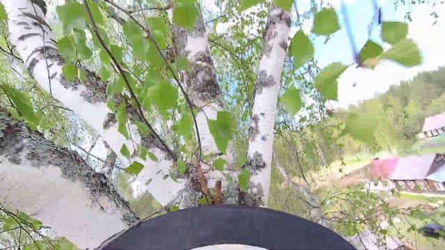 Работа арбориста с бензопилой на высоте Arborist Work With A Chai