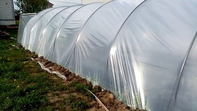 Теплица балаган Клубника 2020 смотреть онлайн