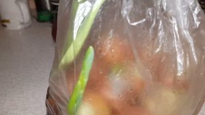 зелёный лук на подоконнике (ч-2)...