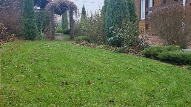 Как быстро навести порядок в саду. От какой работы я О смотреть онлайн