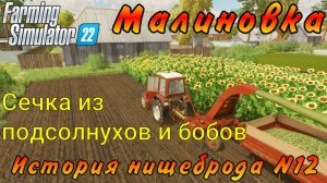Farming Simulator 22. Малиновка. История нищеброда №12. Сечка из подсолнухов и бобов.
