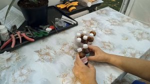 Салициловая кислота убережет наши растения.