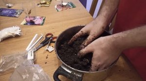 Мой первый случайный опыт выращивания Вешенок c ozon.ru