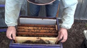 Расширение гнезда пчел весной при плохой погоде. Семь?