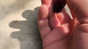 МАЛЬВА РОСА новинка селекции Карпушева Андрея. +79900274169, +79900274170