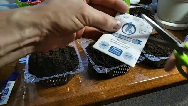 Посев семян Табака на рассаду.28.03.2021(Часть1).