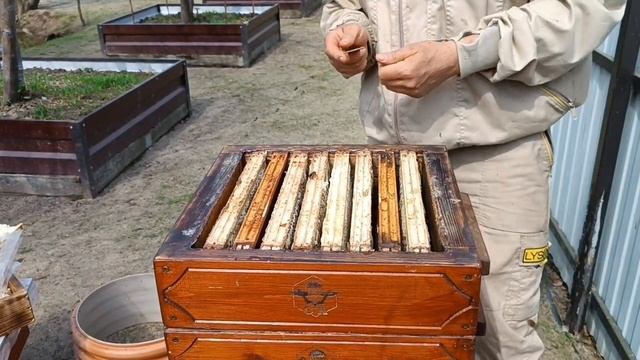 23.04.2025.Весенняя работа на пасеке.