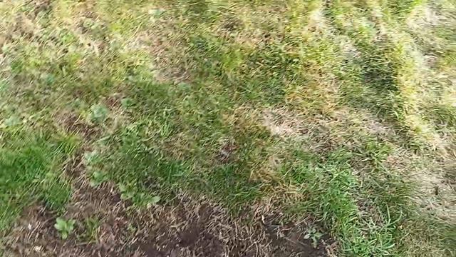 Исправляю Приствольные круги смотреть онлайн