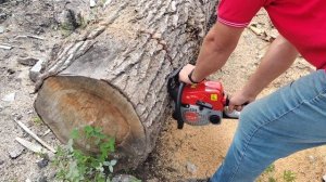 Бензопила Интерскол ПЦБ 180-14 против дуба