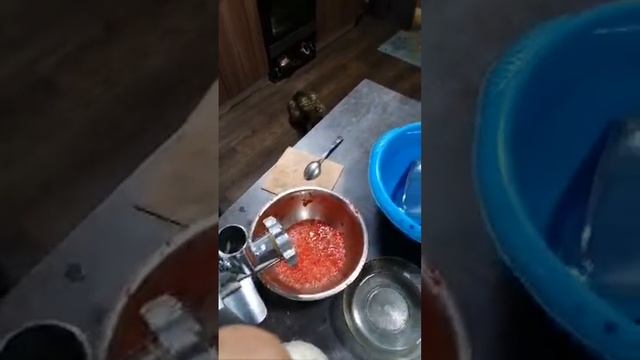 Городская Деревенщина в прямом эфире! смотреть онлайн