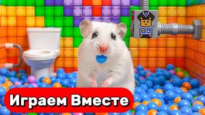 ВИДЕО ПРО ХОМЯКА ДЛЯ ДЕТЕЙ 🐹 ЛАБИРИНТ С ЛОВУШКАМИ ДЛЯ УМНОГО ХОМЯКА