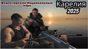 Водлозерский Национальный парк. Карелия 2025. Водлозеро.