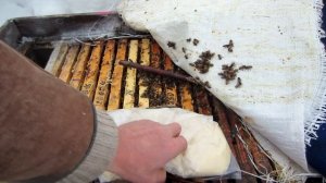 ПРОФИЛАКТИКА НОЗЕМАТОЗА, ПОНОСА ПЧЁЛ В ФЕВРАЛЕ  МАРТЕ?