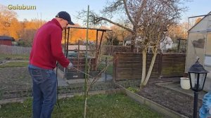 Медный купорос творит чудеса  / Рассказываем как Разво