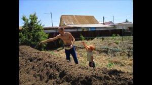 Высокие гряды по Хольцеру как они есть.