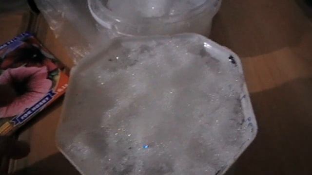 Интересный способ посадки петунии. Результат Вас пора смотреть онлайн