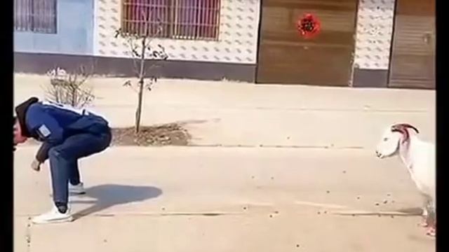 Переиграл.mp4 смотреть онлайн