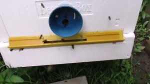 финский улей  bee box , что желательно изменить в конструк