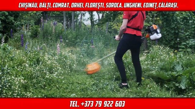 Мототриммеры в кредит под 0% смотреть онлайн