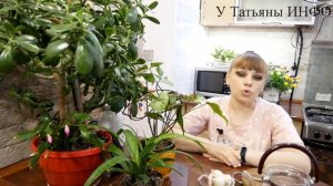 ✔️ Находка Для Комнатных Растений - ЧЕСНОЧНАЯ ВОДА!!!