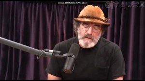 Ежевик гребенчатый польза или вред