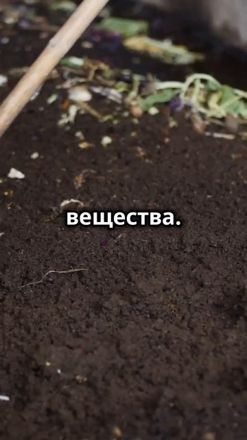 Преимущества пермакультуры 🌱