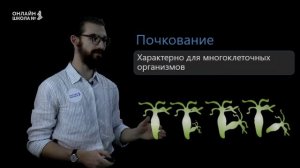 Размножение. Видеоурок 15. Биология 9 класс