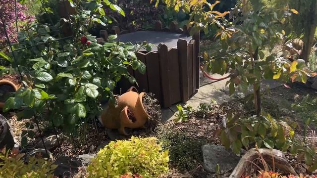 #33☘️ Сад Natalie Janssen☘️Откровенно у муже, блогерстве и с?