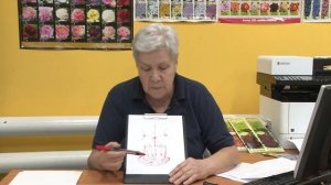 Голова садовая - Почему скручиваются листья у перцев