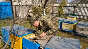 Сублиматор для обработки пчел. Результат обработки.