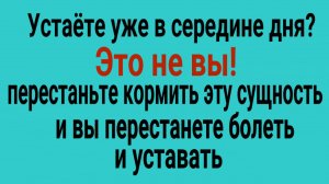 Она питается вашей энергией! Перестаньте кормить эту сущность и вы перестанете болеть и уставать