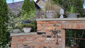 Сад с декором или декор в саду.