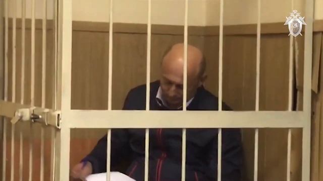 МИЛЛИАРД ЗА ЛЕС? смотреть онлайн