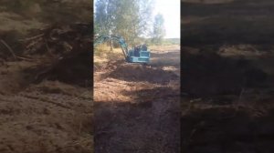 Как корчевать большие пни миниэкскаватором.