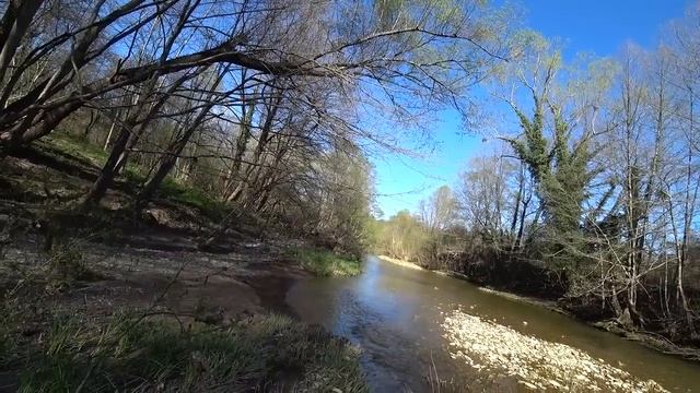 Идущий к Реке Серж Дур-Дачник. У Реки Весенней Порой. 4 ?