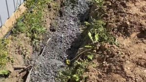 ✅Подготовка траншеи для посадки МАЛИНЫ 👌