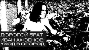 Иван Аксенов: уход в огород. «Дорогой БРАТ», радио Асеб