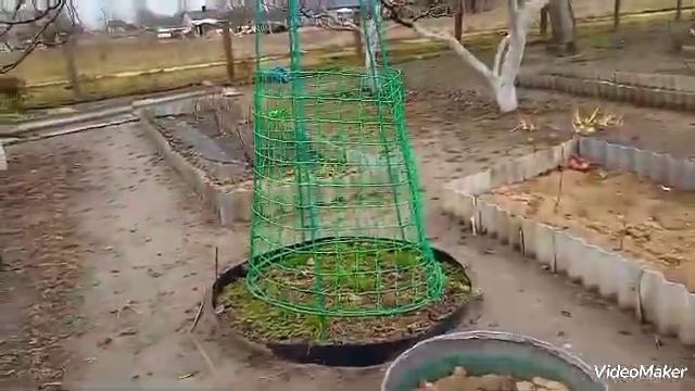 Убийца плодовых и декоративных деревьев-трутовик смотреть онлайн