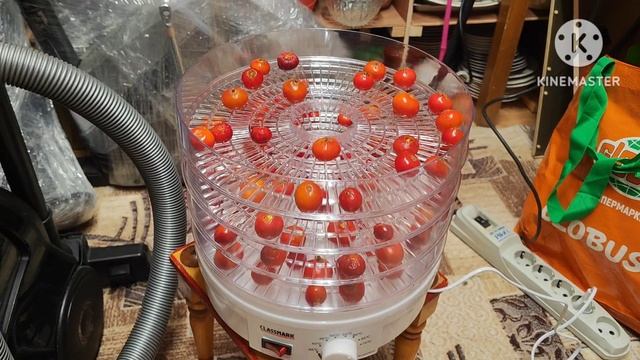 Шиповник из Балтийска. смотреть онлайн