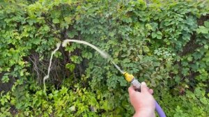 Насос для абиссинской скважины - выбирай правильно