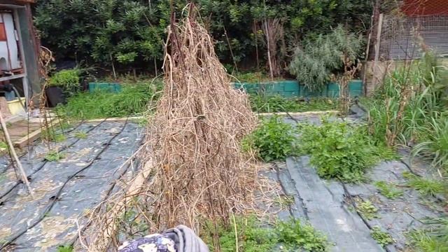 ИТАЛИЯ ВЛОГ, СЯЛО ИЗ БАБЫ НЕ ВЫГНАТЬ, ПРИЕХАЛА В ИТАЛИЮ смотреть онлайн