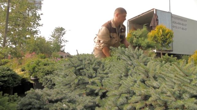 Imperial Garden (Москва)